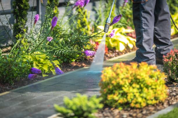 Reliable Hayesville, OR  Pressure Washing Services Solutions